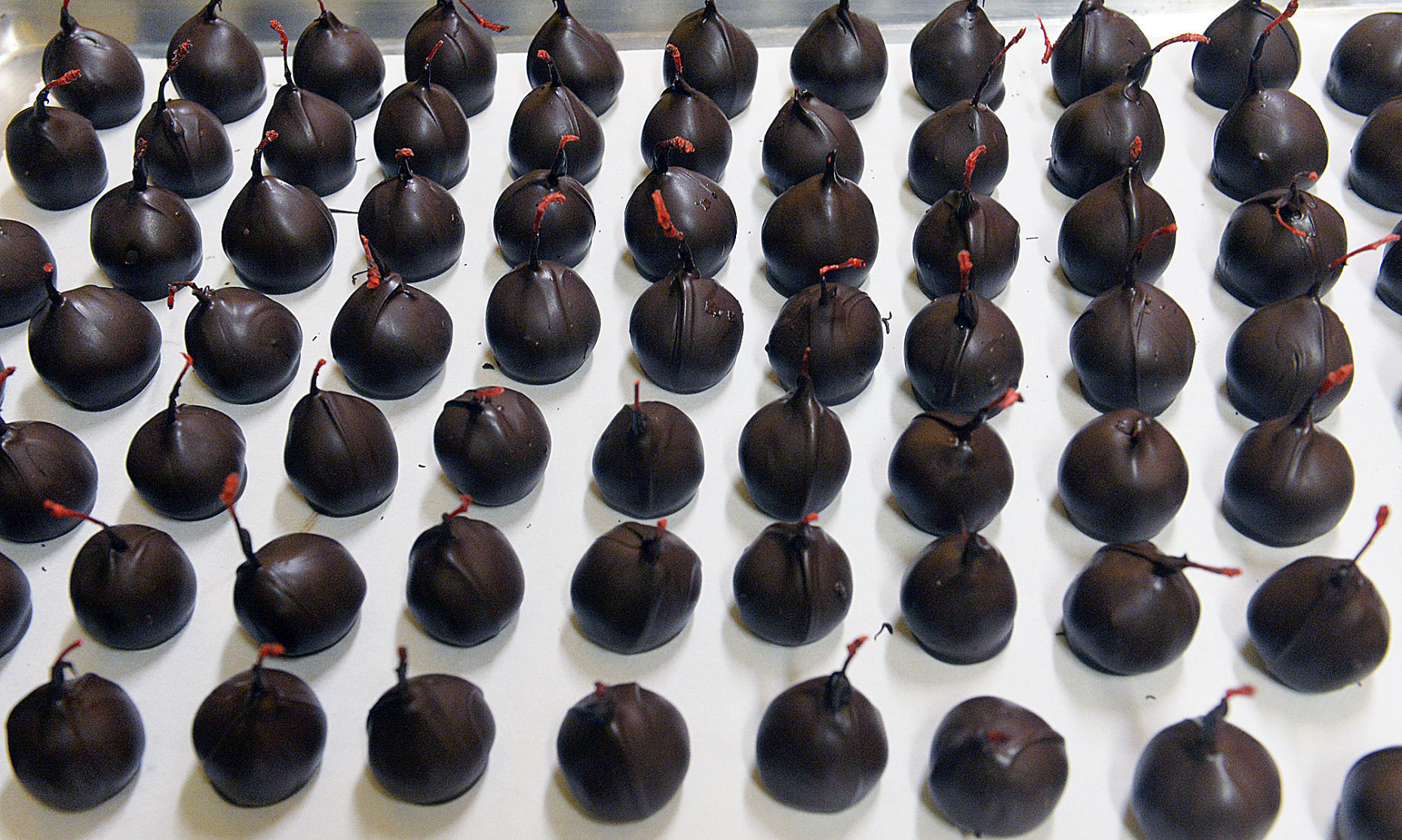 Tibbenham Chocolates 4
